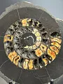 Аммонит Speetoniceras versicolor 35х30 см
