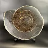 Аммонит Speetoniceras versicolor ГИГАНТ  57х45 см