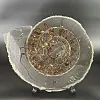 Аммонит Speetoniceras versicolor ГИГАНТ  57х45 см