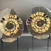 Аммонит Speetoniceras versicolor ПАРА 24х20 см 