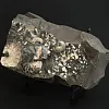 Аммонит Aconeceras tr. и Deshayesites volgensis слоек 115х60 мм