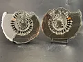 Аммонит пара Speetoniceras versicolor ПАРА 26х23 см