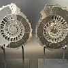 Аммонит Speetoniceras versicolor ПАРА 30х27 см