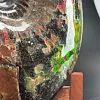 Аммонит Craspedodiskus discofalkatus красный перламутр 