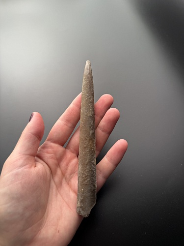 Белемнит 12 х 1,5 см