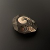 Аммонит Aconeceras trautscholdi 45х35 мм