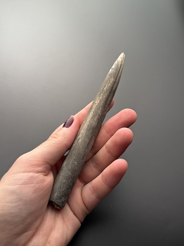 Белемнит 12 х 1,5 см
