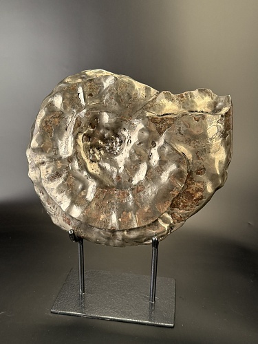 Аммонит Craspedodiskus discofalkatus 36х31 см