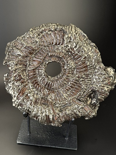 Аммонит Speetoniceras versicolor 27х25 см