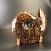 Аммонит Craspedodiskus discofalkatus 420х360 мм