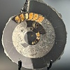 Аммонит Speetoniceras versicolor ПАРА  35х30 см