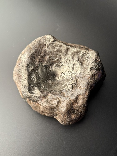 Позвонок ихтиозавра