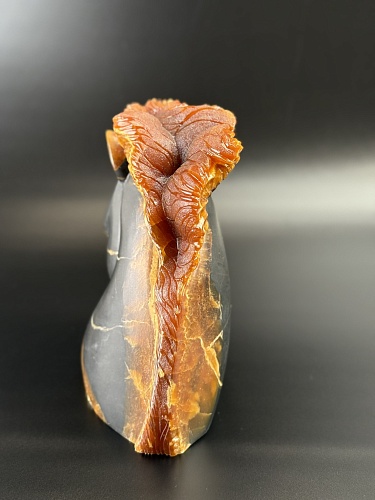 Резерй конь