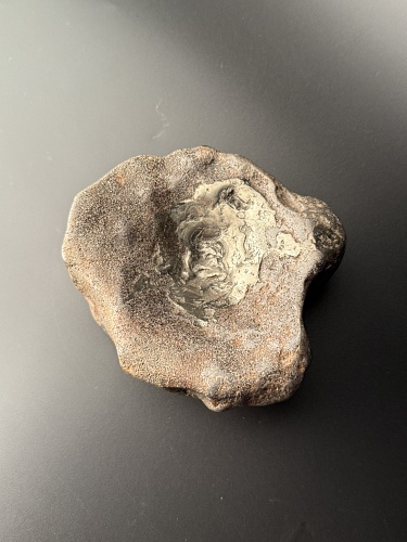 Позвонок ихтиозавра