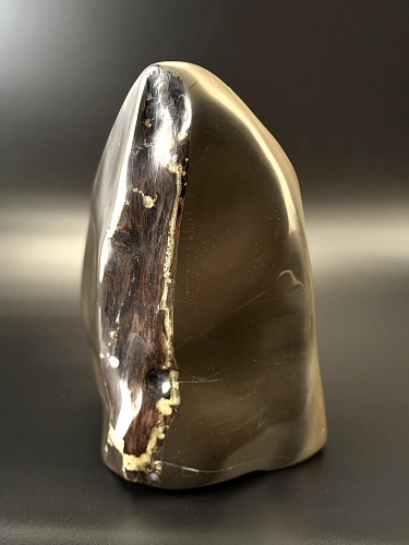 Фрагмент окаменелого дерева в породе 22 х 16 х 12 см