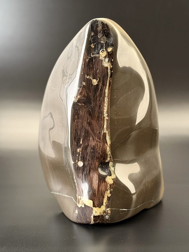 Фрагмент окаменелого дерева в породе 22 х 16 х 12 см