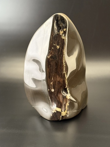 Фрагмент окаменелого дерева в породе 22 х 16 х 12 см