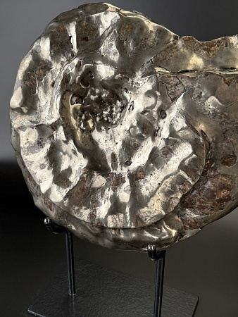 Аммонит Craspedodiskus discofalkatus 36х31 см