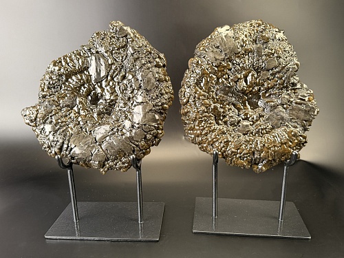 Аммонит Speetoniceras versicolor ПАРА 29х26 см 