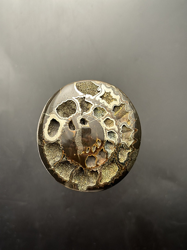 Аммонит кабошон 60х55 мм