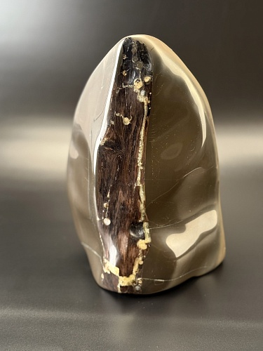 Фрагмент окаменелого дерева в породе 22 х 16 х 12 см