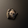 Аммонит Aconeceras trautscholdi 40х37 мм