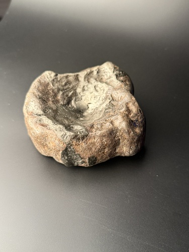 Позвонок ихтиозавра