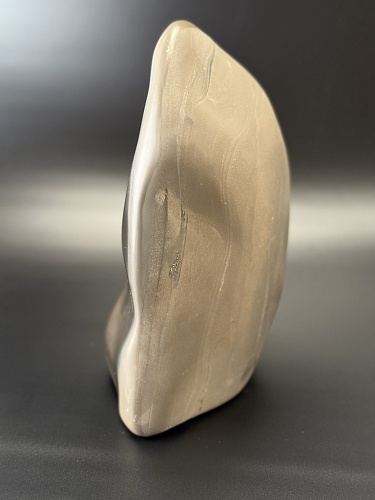 Фрагмент окаменелого дерева в породе 22 х 16 х 12 см