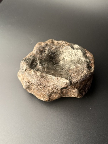 Позвонок ихтиозавра