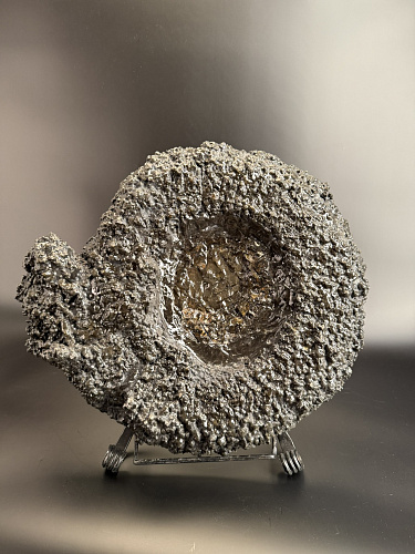 Аммонит Speetoniceras versicolor ГИГАНТ 48х40 см