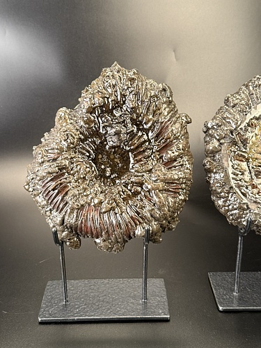 Аммонит Speetoniceras versicolor ПАРА 23х23 см