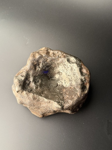 Позвонок ихтиозавра