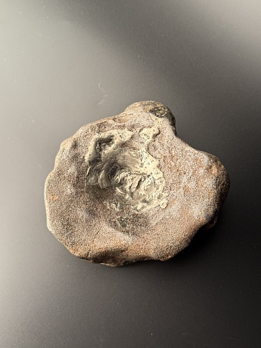 Позвонок ихтиозавра