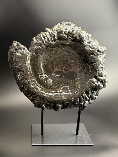 Аммонит Speetoniceras versicolor 36х32 см