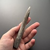 Белемнит 12 х 1,5 см