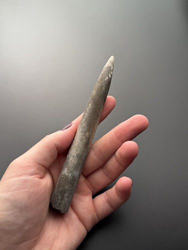 Белемнит 12 х 1,5 см