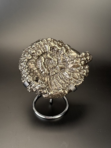 Аммонит Speetoniceras versicolor 13х10 см