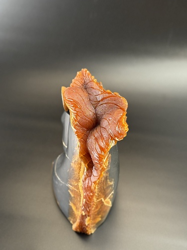 Резерй конь