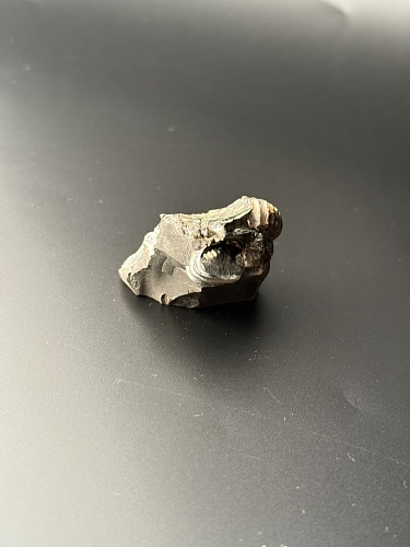 Аммонит Deshayesites volgensis 41х40 мм