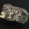 Аммонит Aconeceras tr. и Deshayesites volgensis слоек 115х60 мм