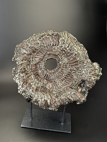 Аммонит Speetoniceras versicolor 27х25 см