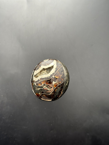 Аммонитовая жеода (кабошон) 44х39  мм