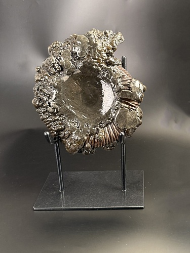 Аммонит Speetoniceras versicolor  26х23 см