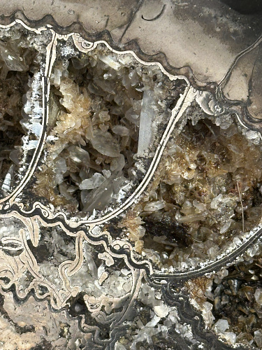 Аммонит Speetoniceras versicolor ПАРА 38х35 см 