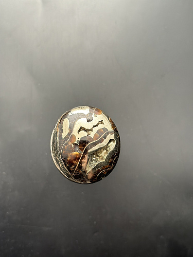 Аммонитовая жеода (кабошон) 44х39  мм